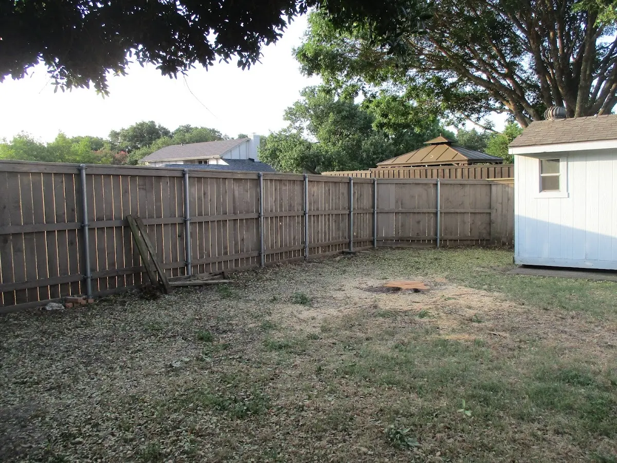 Cleared yard after professional tree removal in Dubois